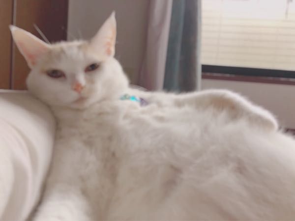 rblog-20180903065533-02.jpg