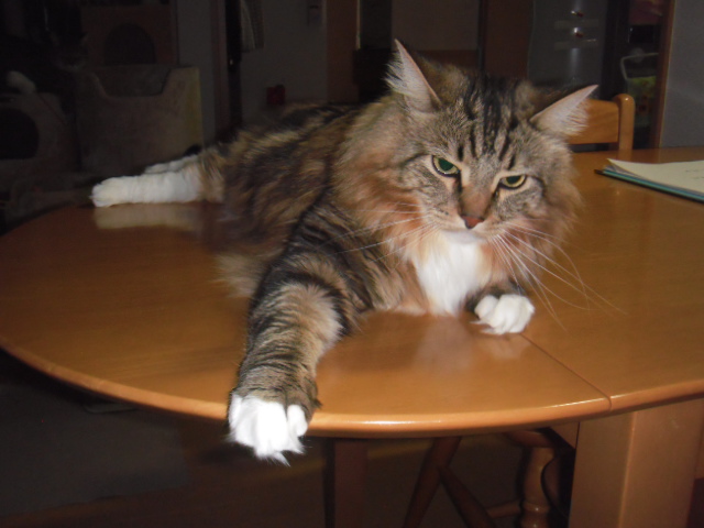 2016_03090003.JPG