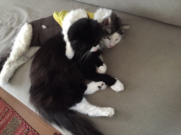 rblog-20151014123809-03.jpg