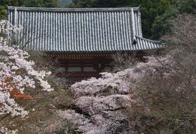 醍醐寺5