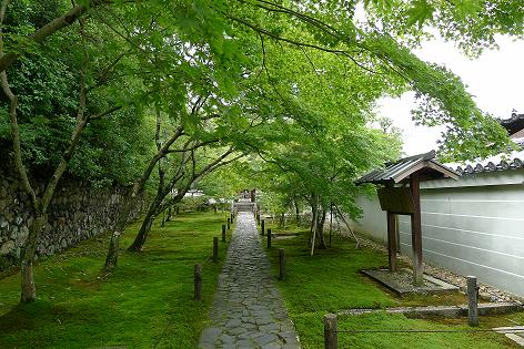 P1010015.JPG
