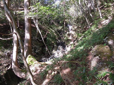 DSCN6144s.jpg