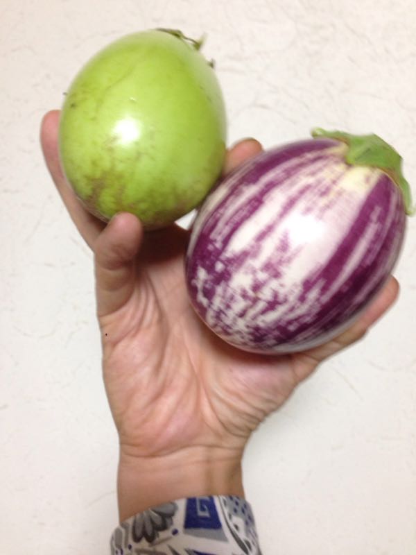 rblog-20161003002234-01.jpg