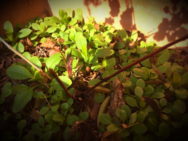 rblog-20160225162749-02.jpg
