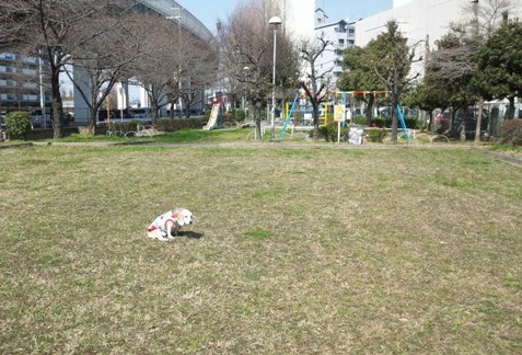 012.jpg