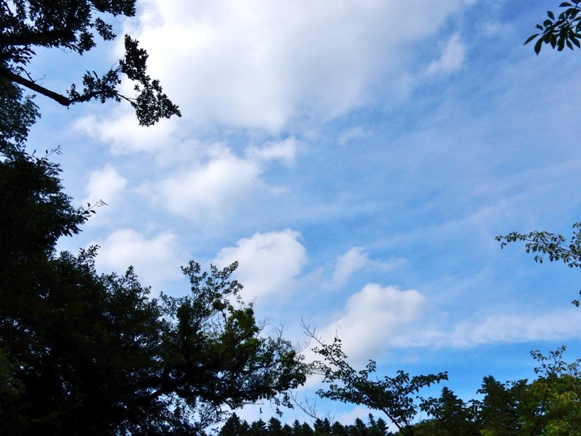 空3.JPG