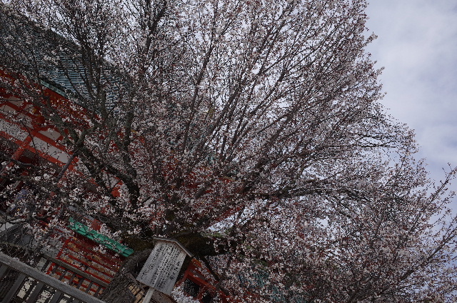 1603310219.JPG