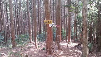 宇都宮　羽黒山　登山