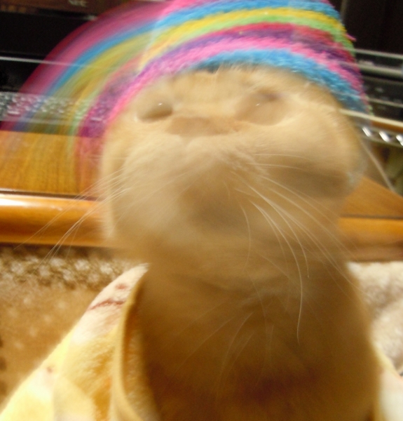 プル!.jpg