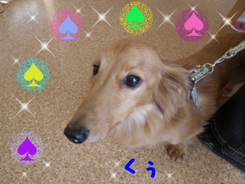くぅ.JPG