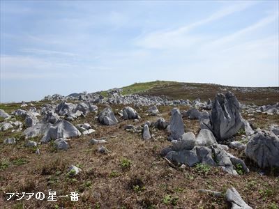 20160503 1四国カルスト8