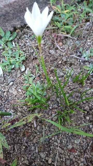 rblog-20170901200355-01.jpg