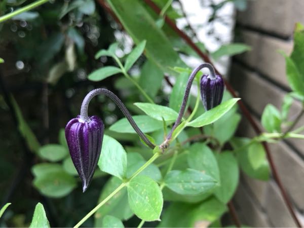rblog-20180624175618-03.jpg