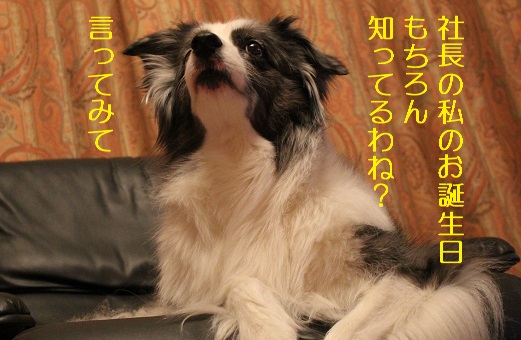 誕生日