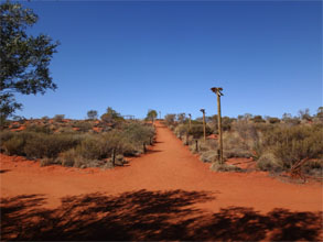 OZ715.jpg