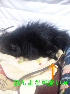 2012-02-26 19:53:39