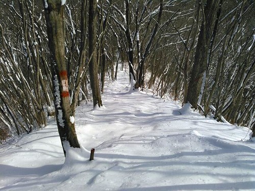 20150214七ツ森遂倉山遊歩道下る.jpg