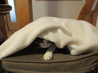 IMG_5480ss.jpg