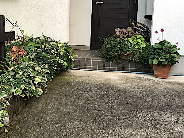 rblog-20180624181904-04.jpg