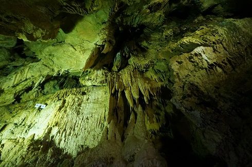 写真】岐阜県郡上八幡の大滝鍾乳洞へ行ってきました＾＾ | ナチュラル