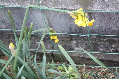 2015011103.JPG