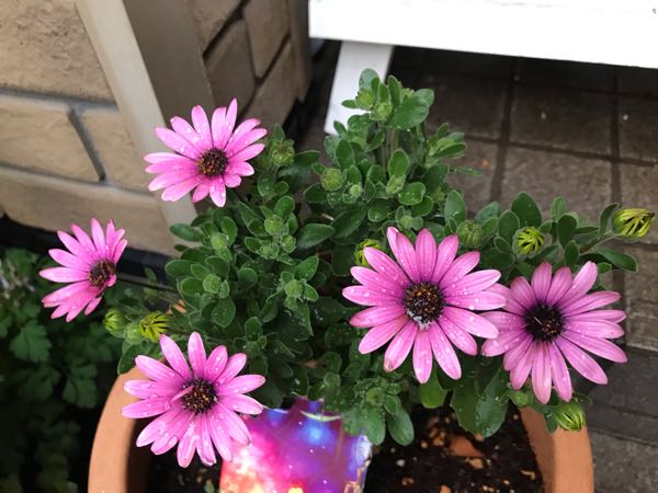 rblog-20190419194830-04.jpg