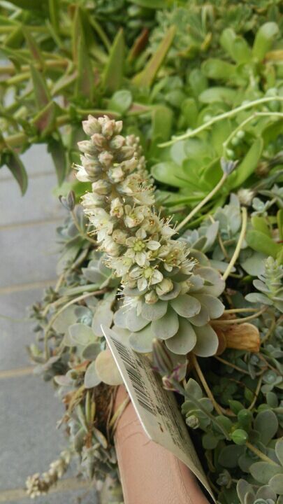 rblog-20141008122926-02.jpg