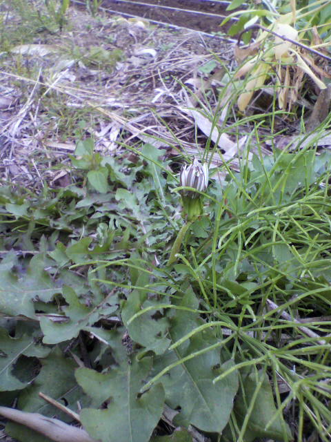 2012112015200001.jpg