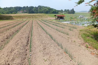 DSCF8074.jpg