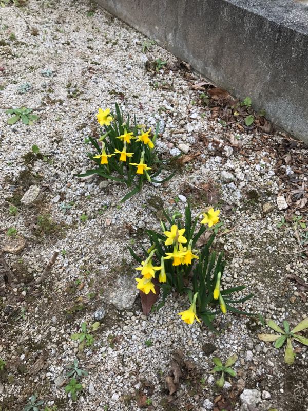 rblog-20170307175917-02.jpg