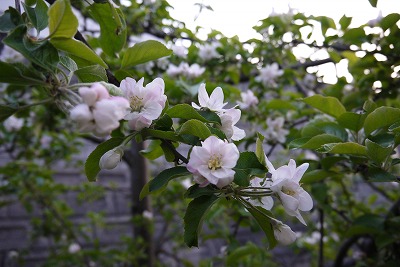 P1000230.jpg