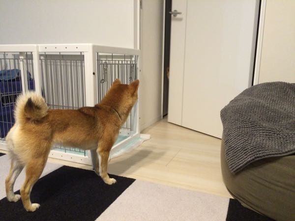 rblog-20151222002346-03.jpg