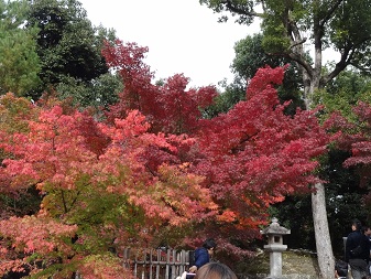 天竜寺３.jpg
