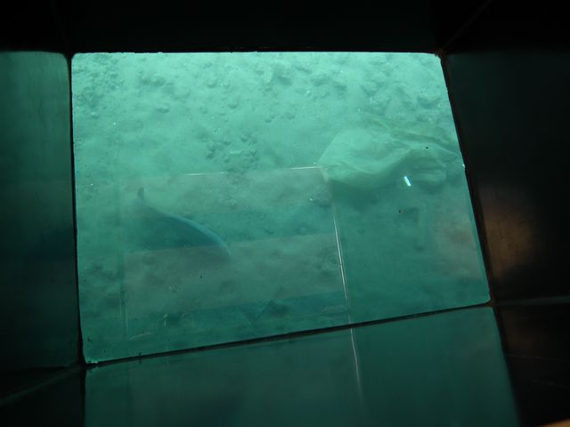 DSCF3869.JPG