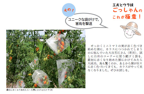 トマト極意.jpg