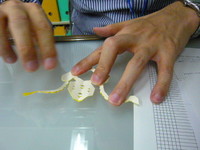 P1150410