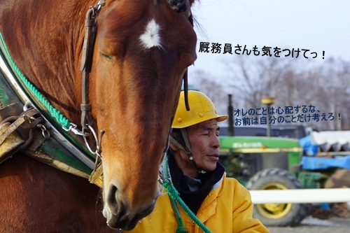 レッドファング　ばんえい