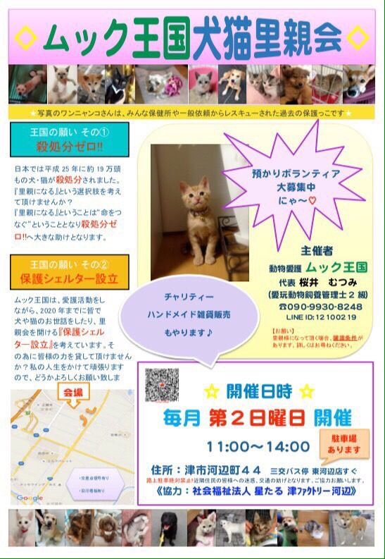 ムック王国犬猫里親会 猫ざる 楽天ブログ