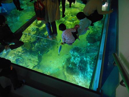 越前松島水族館