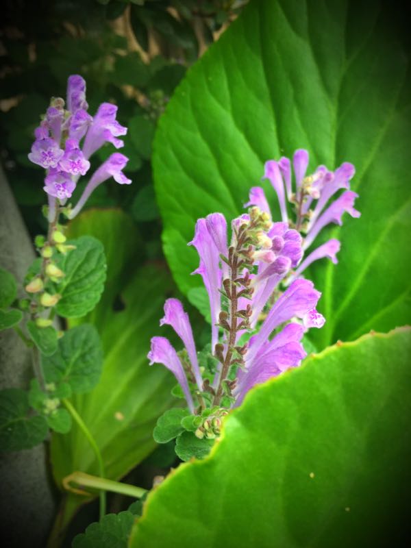 rblog-20160427174116-08.jpg