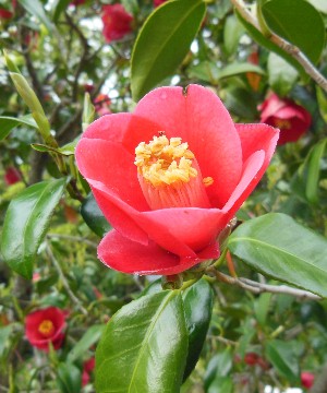 DSCN2231.JPG