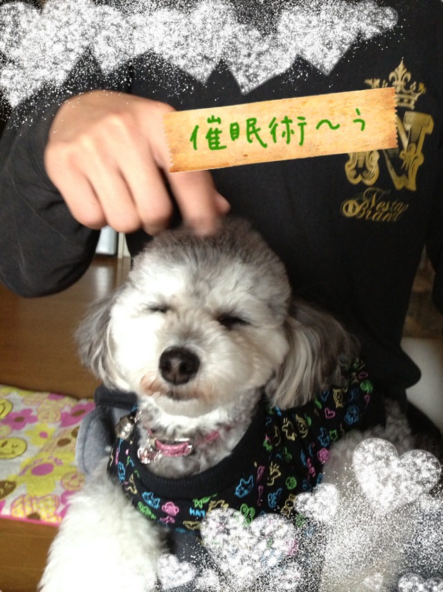 20121029a.JPG