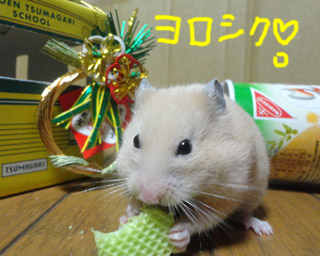 今年もよろしく.jpg