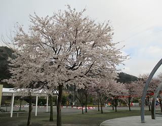 02.JPG