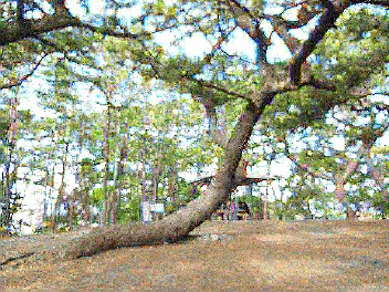 DSCN1330.jpg