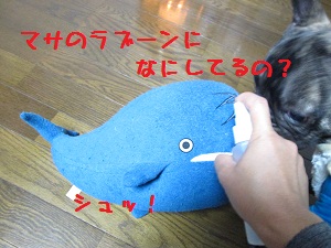 IMG_0577.jpg