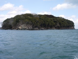 06.JPG