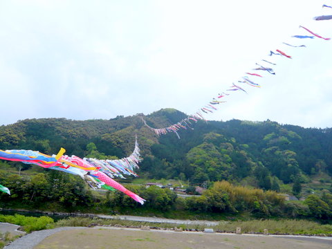 鯉のぼり・十川