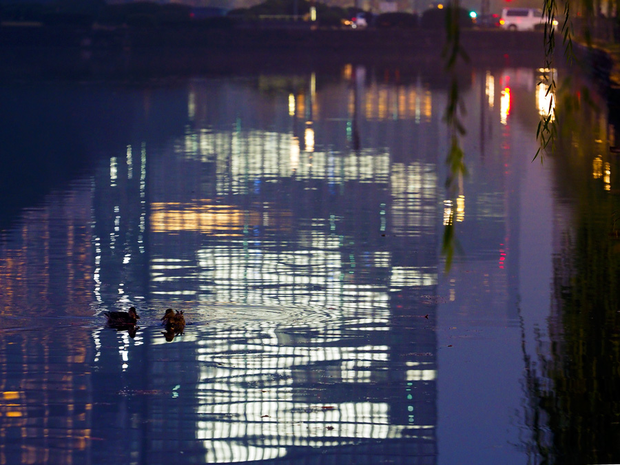 20141129_16514405.jpg