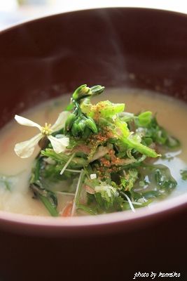 ルッコラ入りお味噌汁